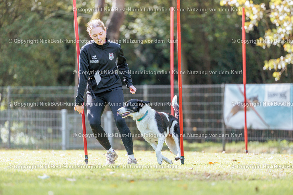 THS-HSV-Blumenthal-2026-Nickbest-Hundefotografie-3040 | Dein Hund! Dein Moment! Deine Erinnerungen! Hundefotografie in Bremen Blumenthal. Ich fange die besonderen Momente deines Vierbeiners ein – ob Indoor mit Blitzanlage oder in der freien Natur. Sicher dir dein Moment und dein Termin für eure Erinnerungen.