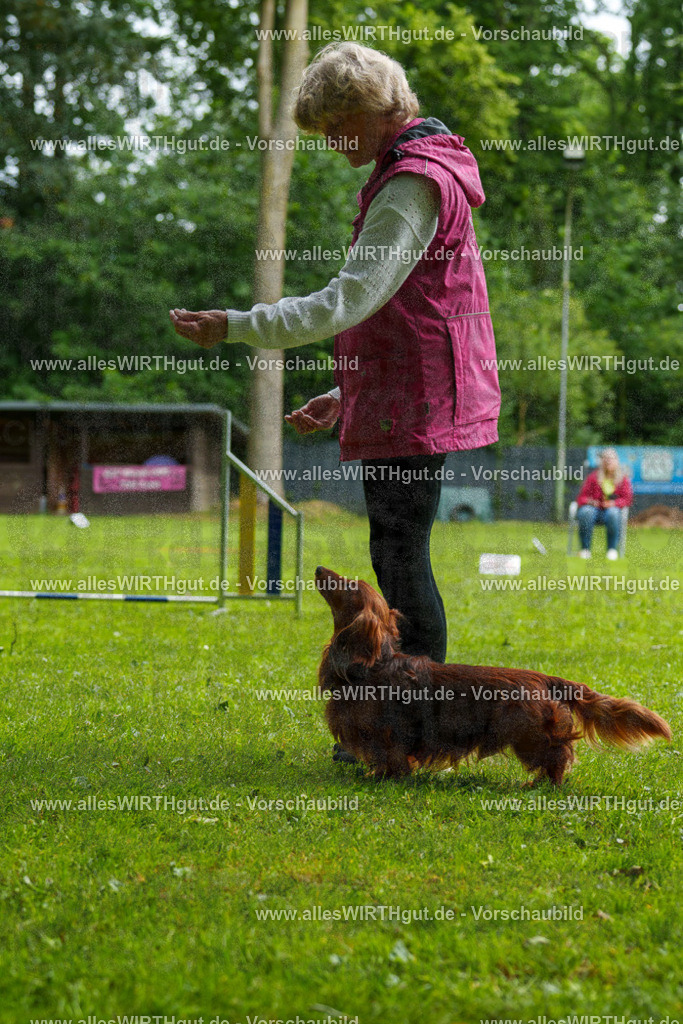 @allesWIRTHgut_Tierfotografie - www.allesWIRTHgut.de - 090829-7R506588 | Professionelle Tierfotografie in Mönchengladbach von Daniel Wirth (allesWIRTHgut). Liebevolle & natürliche Bilder von Hunden & Katzen für unvergessliche Erinnerungen.
