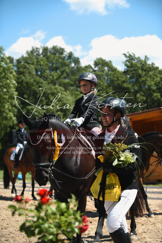 DSC_1965 | Pferde- und Turnierfotografie in Westsachsen. Pferdeportraits, Auftragszeichnungen und intuitive Kunst.