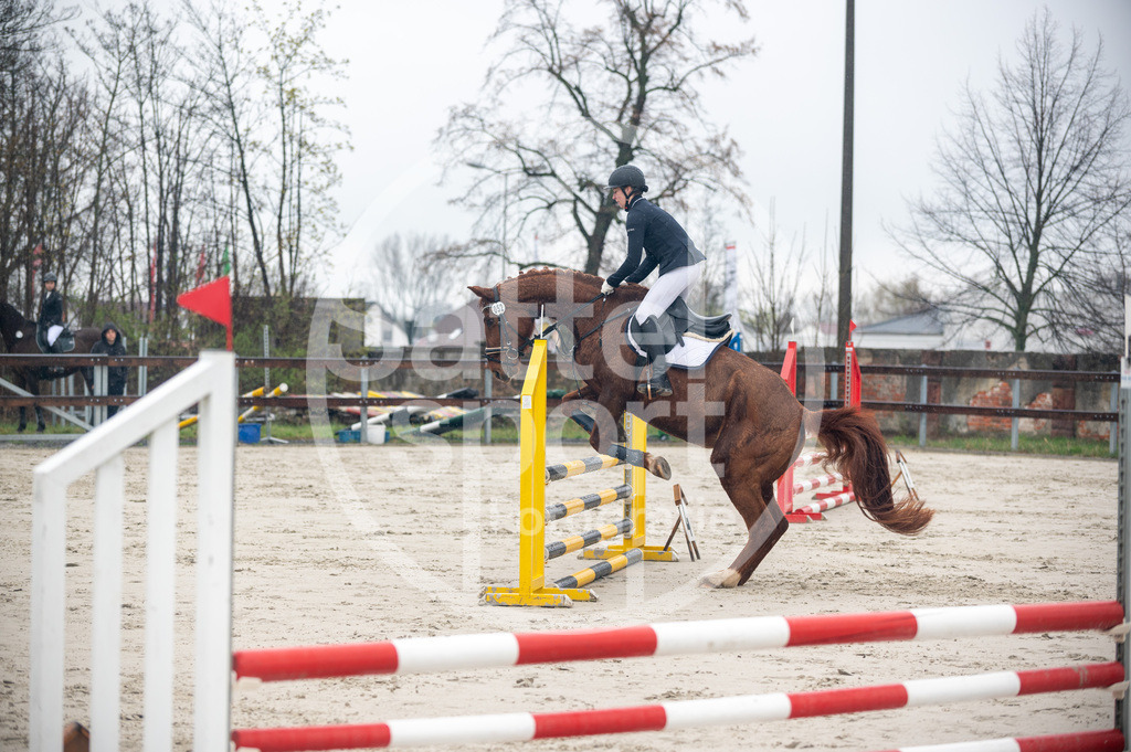 DSC_8494 | sattelsport - Realisiert mit Pictrs.com