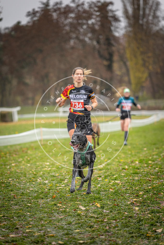 CaniXpix_DV3A9218 | Hundefotografie, Tierfotograf, Pfotenfotografie, Fotoshooting Hund, Hunde Portrait, Hundesport, Hundeportraits, Heideshooting, Hunde, Sportfotograf, Hundefotograf, Turnierhundsport, THS,  - Realisiert mit Pictrs.com