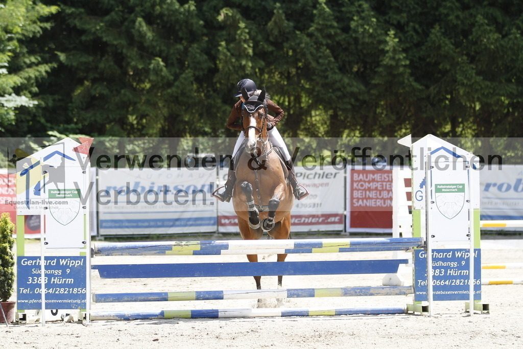 _MG_2017 | equestrian-live-com