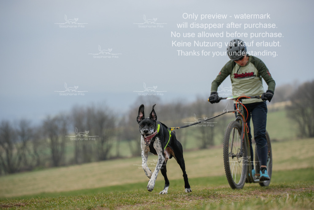 ScooterSA-221-2 | stephaniefillaphotographie - Realisiert mit Pictrs.com