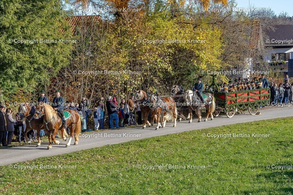 LBT25-139 | foto-bettina-krinner - Realisiert mit Pictrs.com