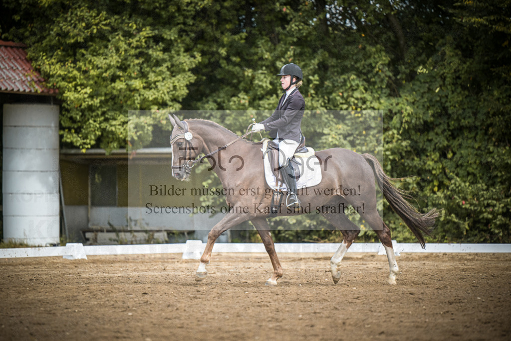 DOS_0008 | Entdecke hochwertige Reitturnierfotos von Foto Oger. Professionell, emotional und authentisch – jetzt Lieblingsmomente im Shop bestellen.Deutschlandweite Turnierfotografie. - Realisiert mit Pictrs.com