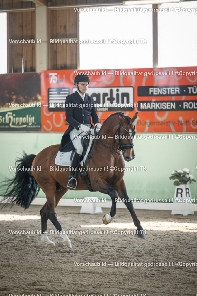 _D5A9748 | Emotionale Pferde- & People-Fotografie rund um Heidelberg, Leimen & Umgebung. Natürliche Fotos von Pferd, Mensch & Familie. Jetzt Termin sichern!