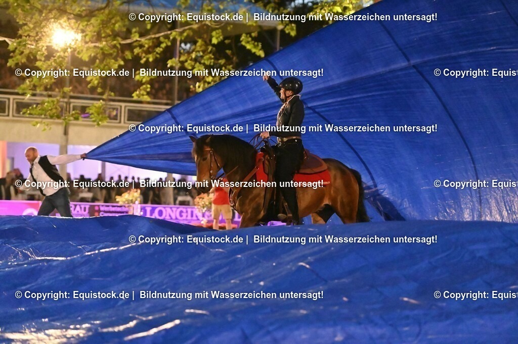 20230526_Pferdenacht_1053 | equistock