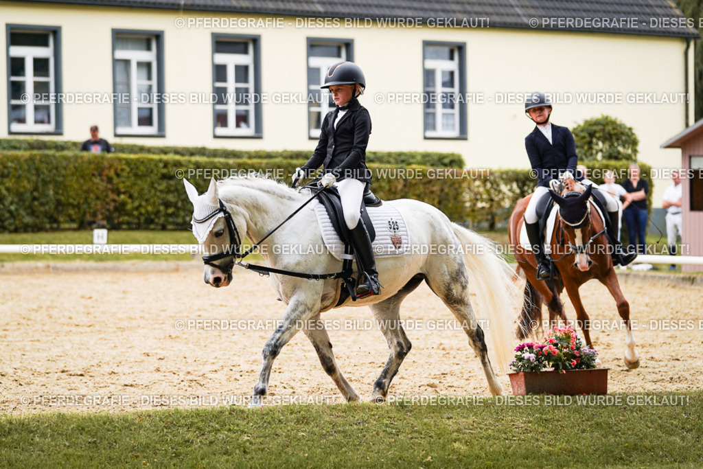 DSC09789 | Pferdegrafie