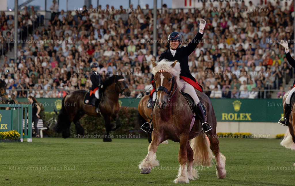 TSCHIO26_PferdundSinfonie_StoibphotographyTSCHIO26_Pferd-Sinfonie_Stoibphotography_AM11555.CR3.jpg | working equitationturnier fotograf videograf stoibphotography marixx film working equitation deutschland reitsport turnierfotografie eventfotografie equestrian events