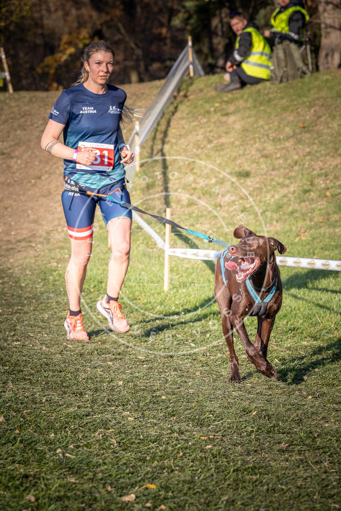 CaniXpix_0L8A9833 | Hundefotografie, Tierfotograf, Pfotenfotografie, Fotoshooting Hund, Hunde Portrait, Hundesport, Hundeportraits, Heideshooting, Hunde, Sportfotograf, Hundefotograf, Turnierhundsport, THS,  - Realisiert mit Pictrs.com