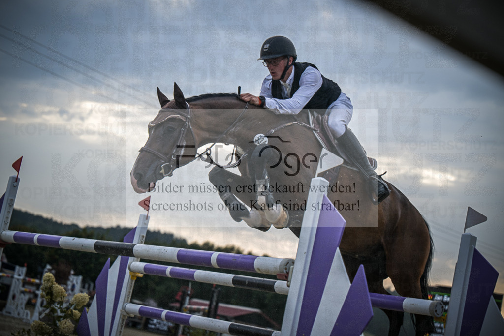 DOS_2919 | Entdecke hochwertige Reitturnierfotos von Foto Oger. Professionell, emotional und authentisch – jetzt Lieblingsmomente im Shop bestellen.Deutschlandweite Turnierfotografie. - Realisiert mit Pictrs.com