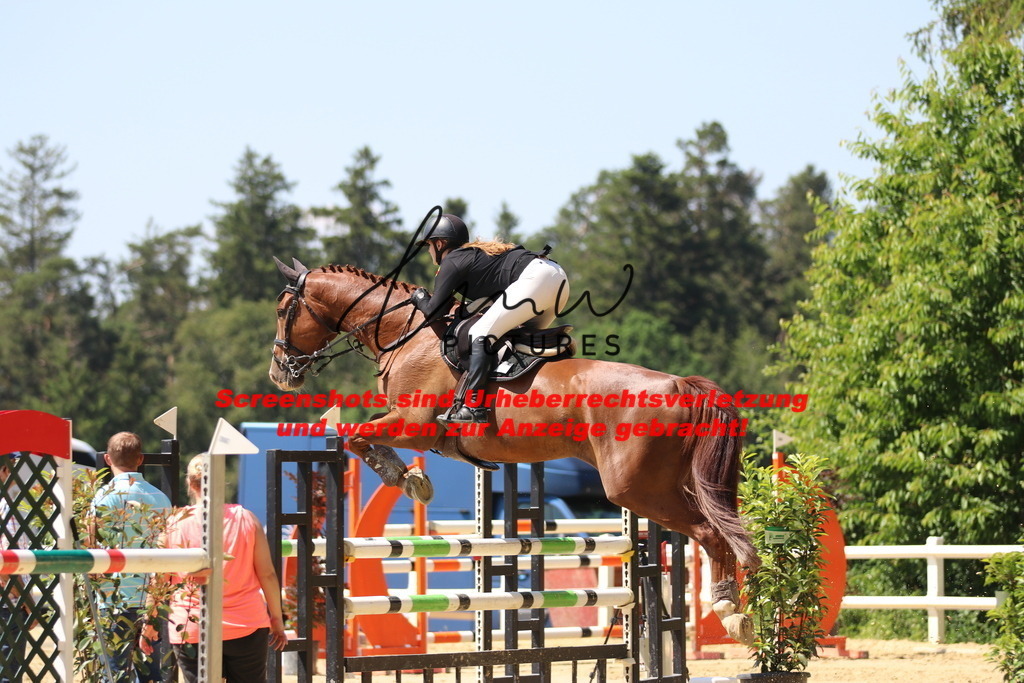 IMG_2653 | lmwpictures - Realisiert mit Pictrs.com