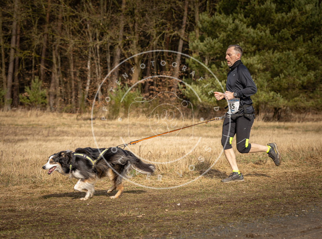 DV3A3935 | Hundefotografie, Tierfotograf, Pfotenfotografie, Fotoshooting Hund, Hunde Portrait, Hundesport, Hundeportraits, Heideshooting, Hunde, Sportfotograf, Hundefotograf, Turnierhundsport, THS,  - Realisiert mit Pictrs.com