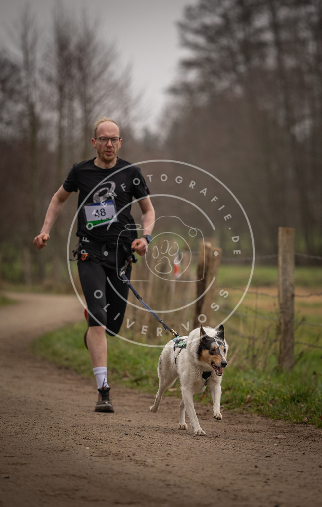 Pfotenfotografie_DV3A2762 | Hundefotografie, Tierfotograf, Pfotenfotografie, Fotoshooting Hund, Hunde Portrait, Hundesport, Hundeportraits, Heideshooting, Hunde, Sportfotograf, Hundefotograf, Turnierhundsport, THS,  - Realisiert mit Pictrs.com