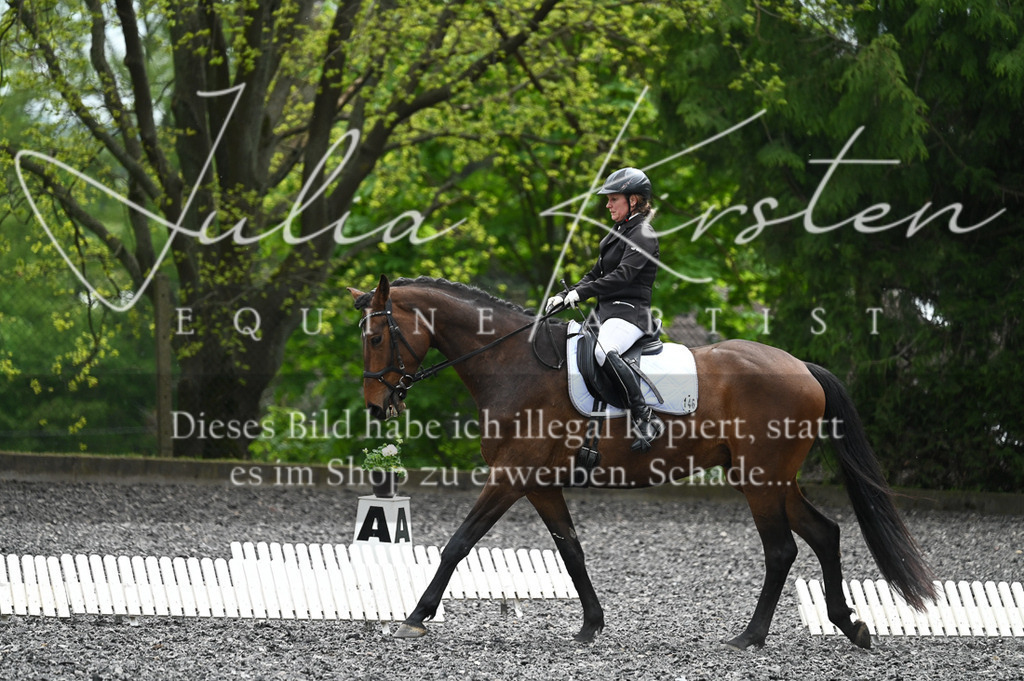 20230512_JK-Röhrsdorf-07-102 | Pferde- und Turnierfotografie in Westsachsen. Pferdeportraits, Auftragszeichnungen und intuitive Kunst.