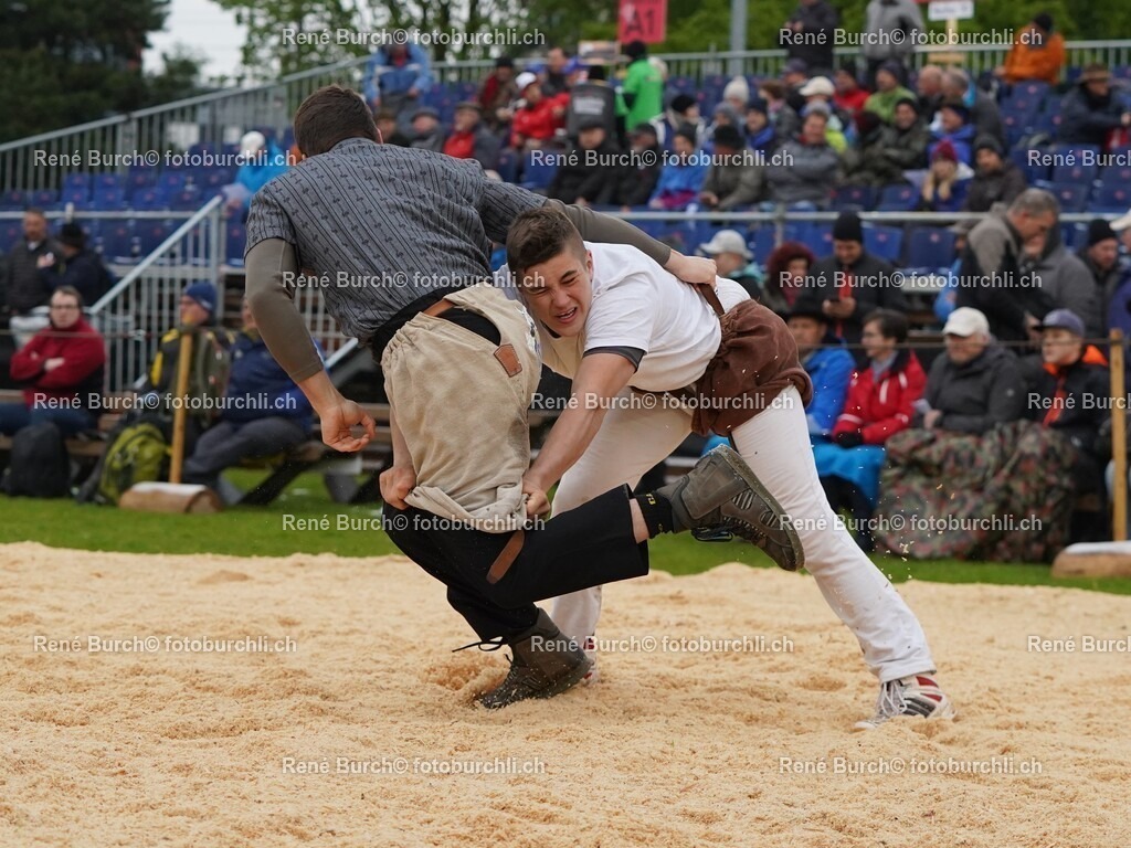 DSC05671 (2) | René Burch leidenschaftlicher Fotograf aus Kerns in Obwalden.  Hier finden sie Sport, Landschaft und Natur Fotografie.
 - Realisiert mit Pictrs.com