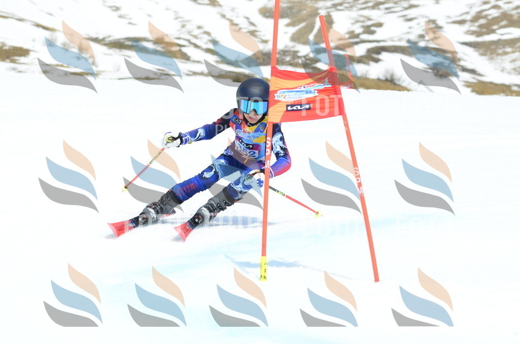 _ELE2700 | holidayphoto