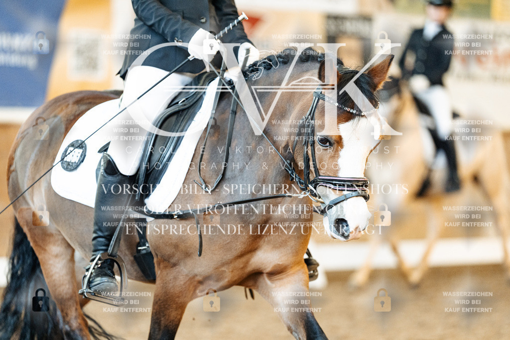 CK907570 | Turnierfotografie Pferdefotografie Trier Rheinland-Pfalz Pferdesport Reitsport Tierfotografie Sportfotografie Pferdevideo Pferdevideografie Equestrianvideography equestrianphotography  - Realisiert mit Pictrs.com