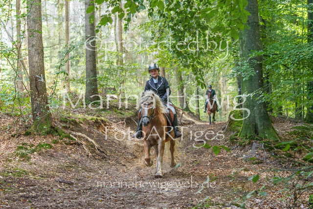 Jagd Perdoel_MarinaHewigMCH04669 | Fotografie, FotoArt, PferdesportArt, Pferdesportfotografie, Landschaftsfotografie, Reisefotografie, Reise, Pferde - Realisiert mit Pictrs.com