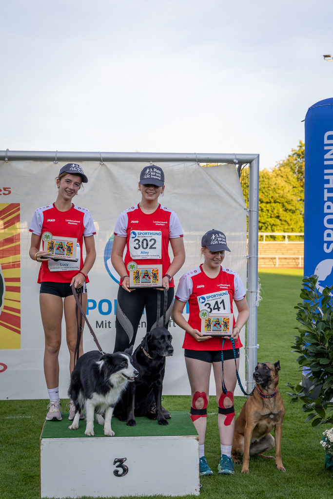 Pfotenfotografie_DV3A4865-2 | Hundefotografie, Tierfotograf, Pfotenfotografie, Fotoshooting Hund, Hunde Portrait, Hundesport, Hundeportraits, Heideshooting, Hunde, Sportfotograf, Hundefotograf, Turnierhundsport, THS,  - Realisiert mit Pictrs.com