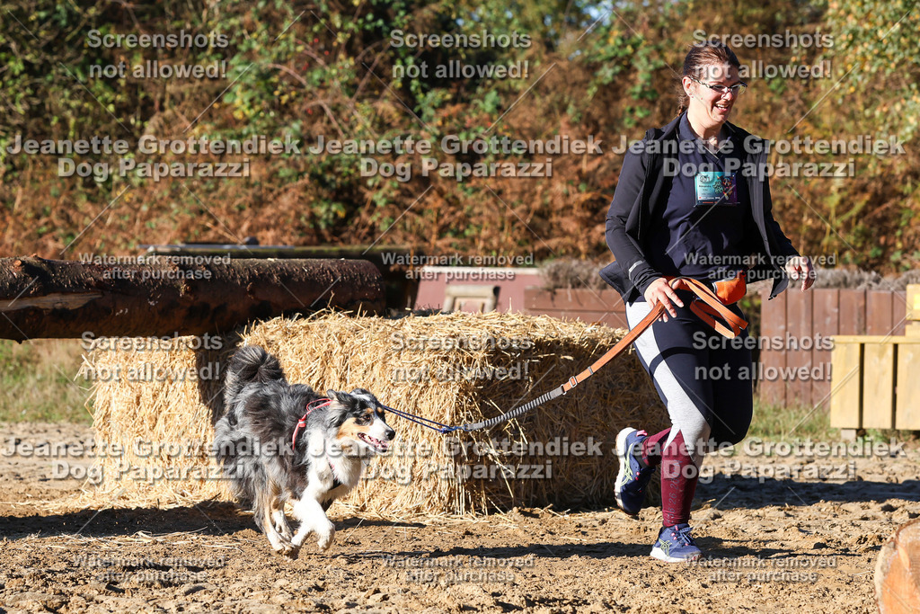 Dog Paparazzi - Strongdog 10-25-1528 | Dog Paparazzi Jeanette Grottendiek Fotografie & Videografie - Realisiert mit Pictrs.com