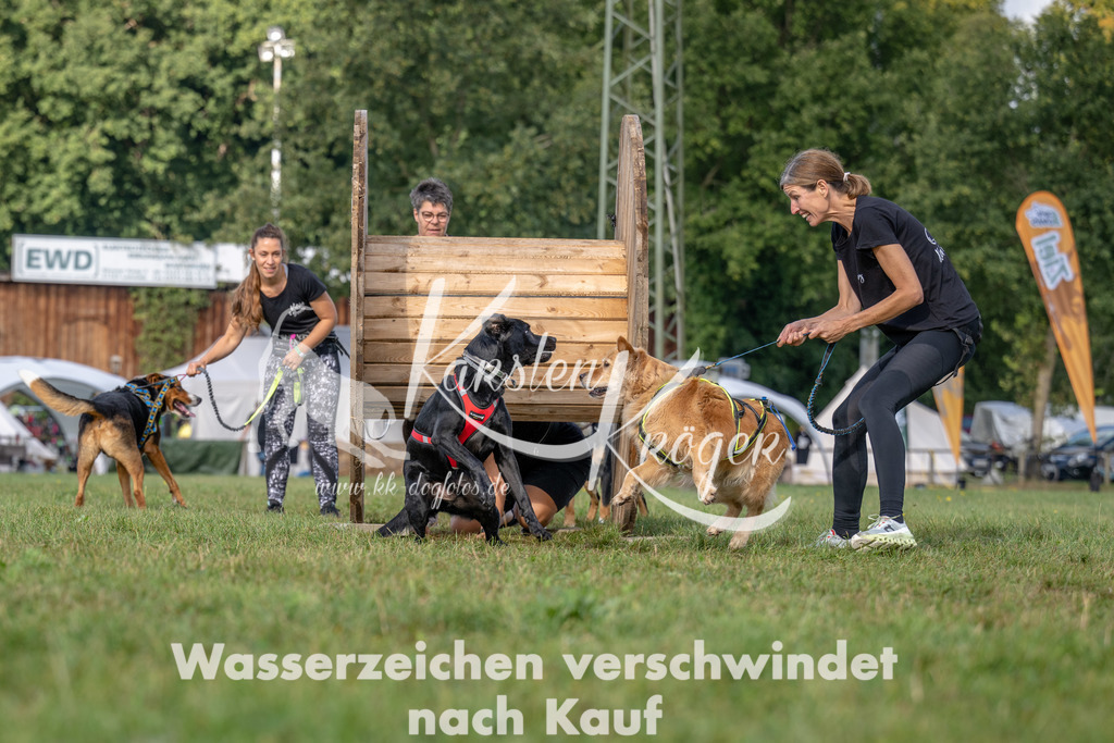 1026_ZZ92303 | kk-dogfotos