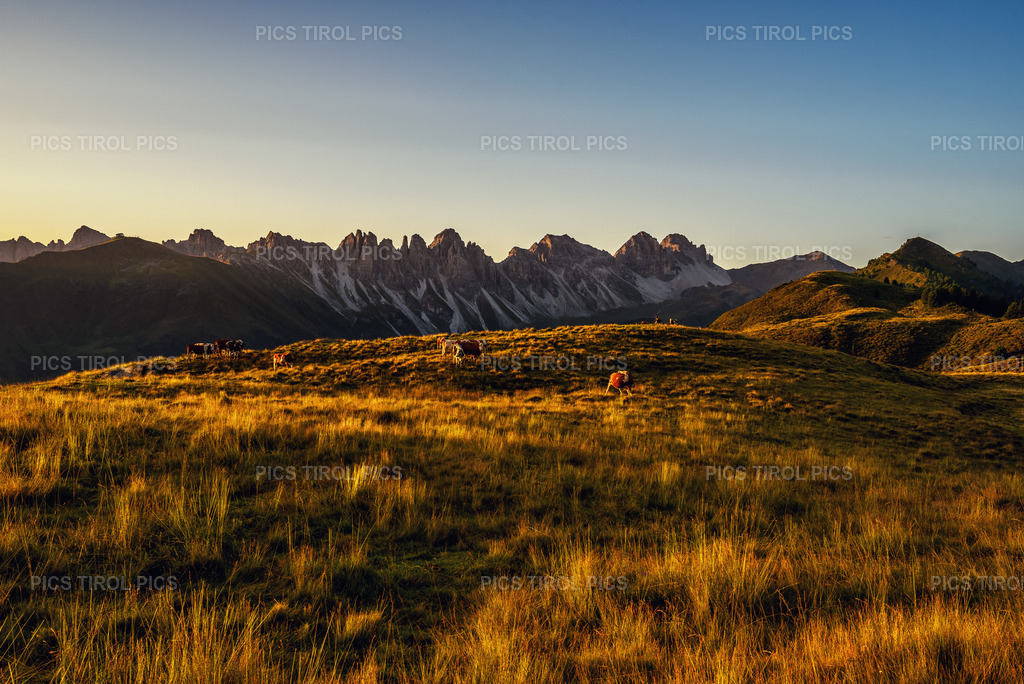 DSC_7390-Bearbeitet2 | Tirolpics