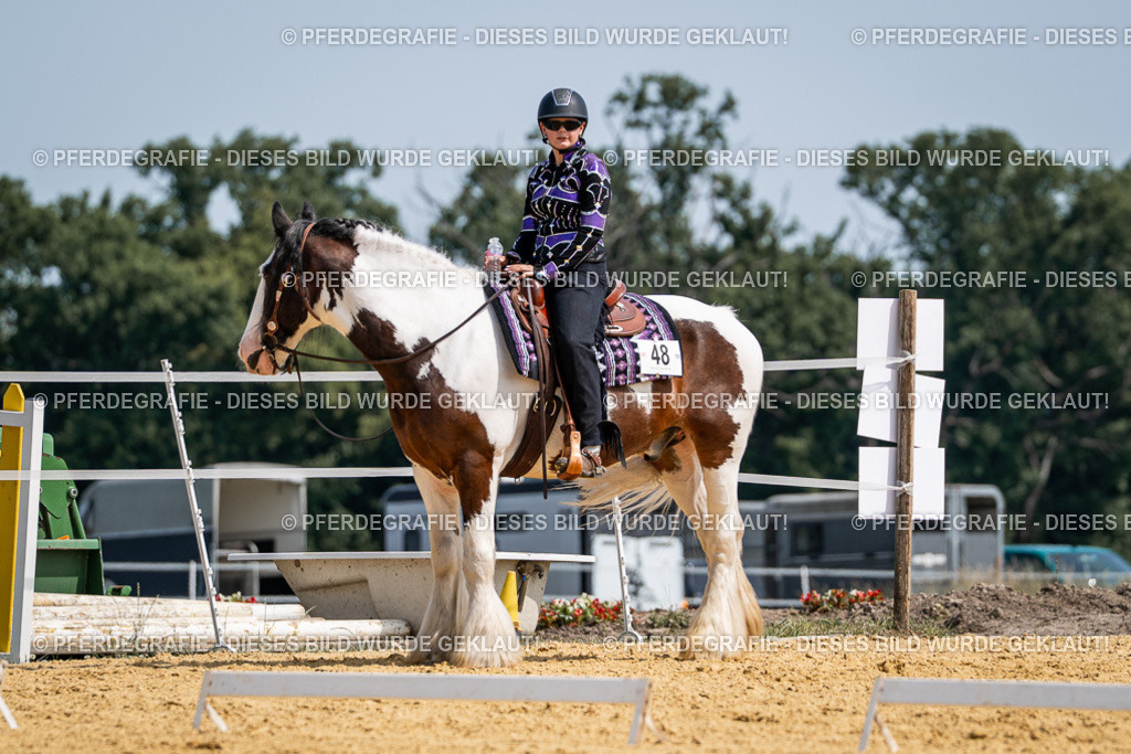 DSC00266 | Pferdegrafie