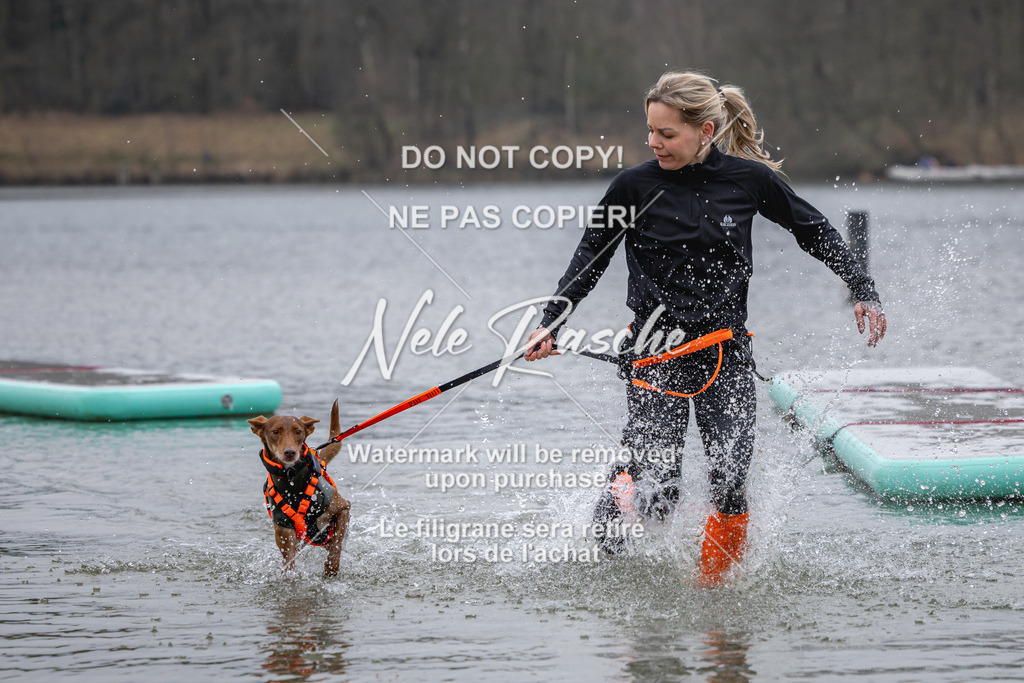 nelerasche_Hulsbeek_Sa1600-1700_69 | nelerasche