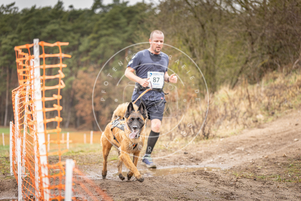 DV3A0374 | Hundefotografie, Tierfotograf, Pfotenfotografie, Fotoshooting Hund, Hunde Portrait, Hundesport, Hundeportraits, Heideshooting, Hunde, Sportfotograf, Hundefotograf, Turnierhundsport, THS,  - Realisiert mit Pictrs.com