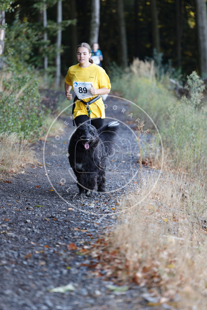 0L8A2155 | Hundefotografie, Tierfotograf, Pfotenfotografie, Fotoshooting Hund, Hunde Portrait, Hundesport, Hundeportraits, Heideshooting, Hunde, Sportfotograf, Hundefotograf, Turnierhundsport, THS,  - Realisiert mit Pictrs.com