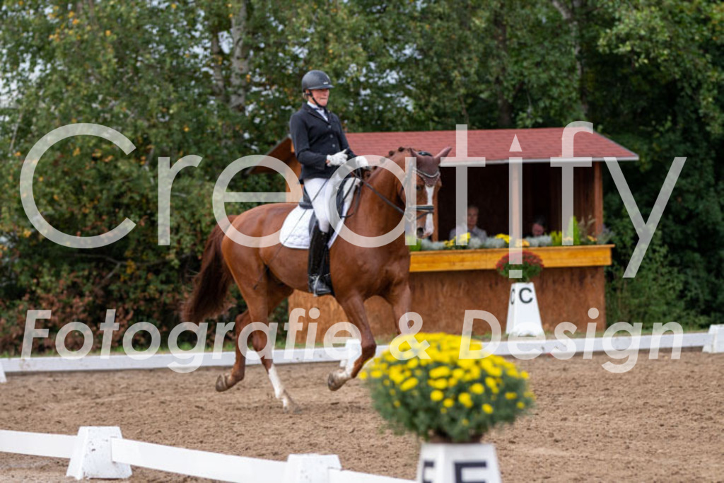 IMG_5017 | Creatify Fotografie