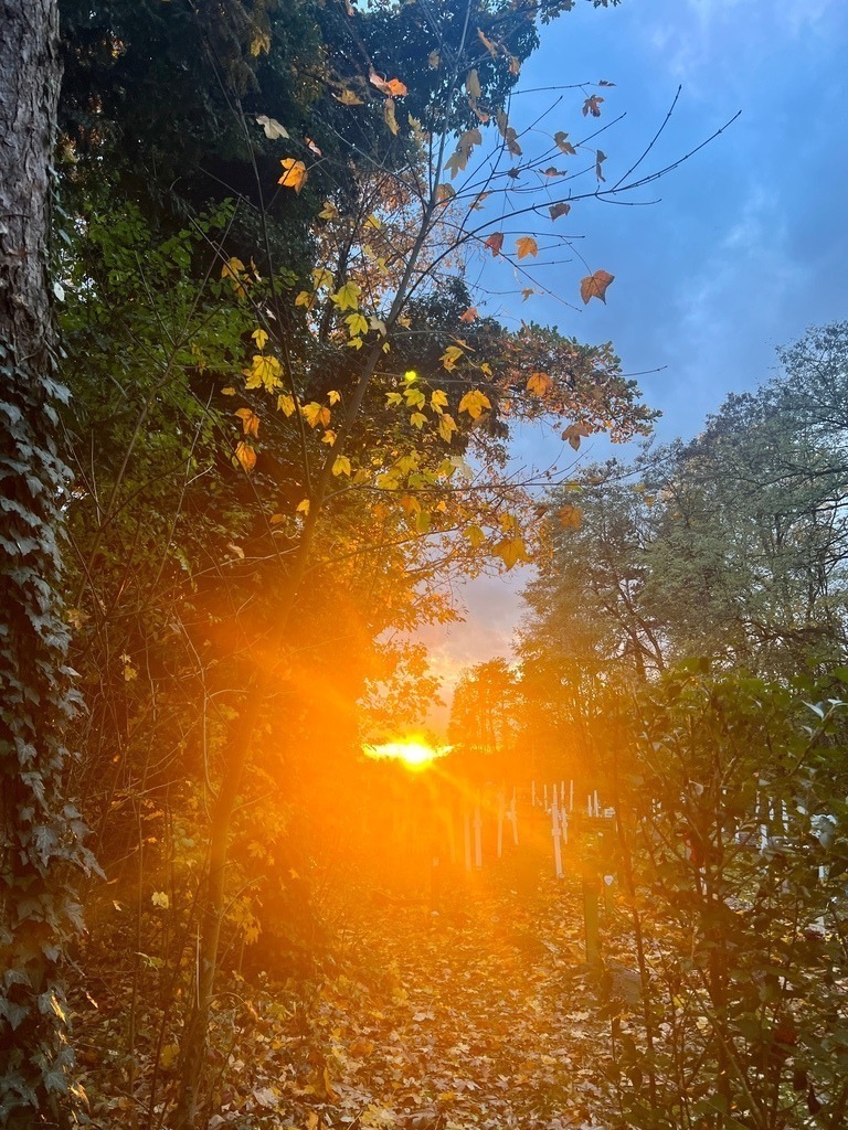 IMG_8937 | ace - Realisiert mit Pictrs.com