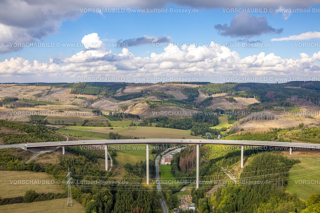 Bestwig220901947 | Luftbild, Talbrücke Nuttlar, Autobahn A46, Waldschäden, Nuttlar, Bestwig, Ruhrgebiet, Nordrhein-Westfalen, Deutschland