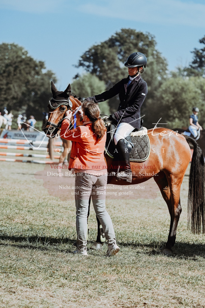 DSC_0111 | Pferde- und Turnierfotografie in Westsachsen. Pferdeportraits, Auftragszeichnungen und intuitive Kunst.
