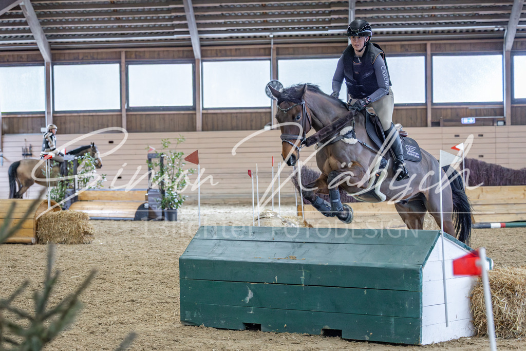 20260221-_3LI0578 | Tierfotografie Pferde, Hunde, Katzen, Haustiere.
Turnierfotografie Reitturniere, Reiten, Springreiten, Dressur in Hanau, dem Main-Kinzig-Kreis und dem Rhein-Main- Gebiet um Frankfurt