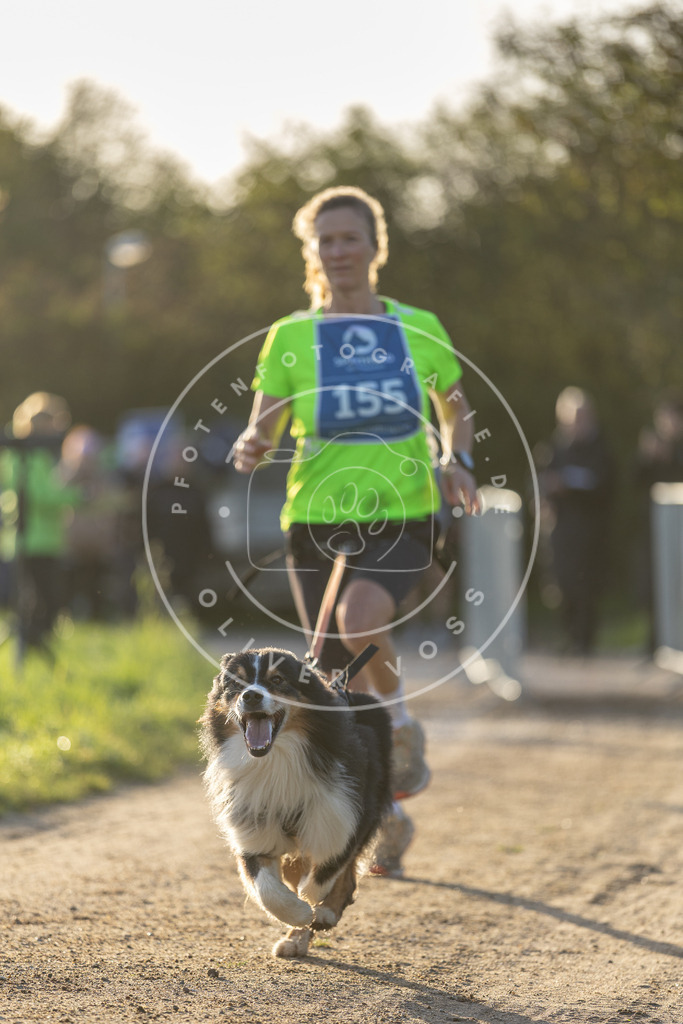 Pfotenfotografie.de_DV3A2635 | Hundefotografie, Tierfotograf, Pfotenfotografie, Fotoshooting Hund, Hunde Portrait, Hundesport, Hundeportraits, Heideshooting, Hunde, Sportfotograf, Hundefotograf, Turnierhundsport, THS, canicross - Realisiert mit Pictrs.com