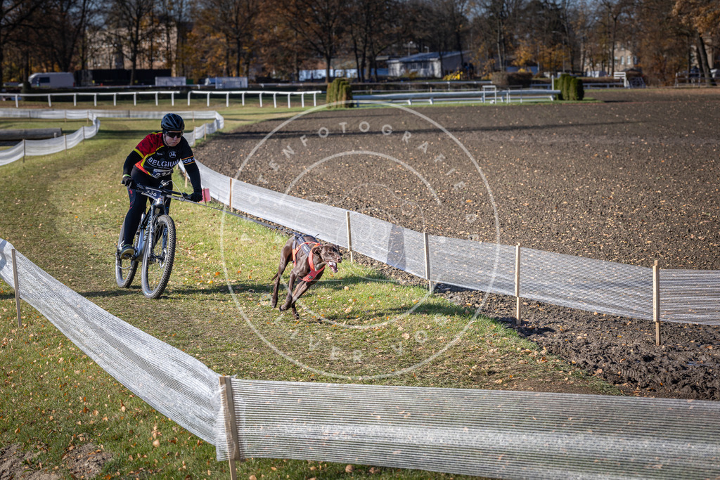 CaniXpix_DV3A6843 | Hundefotografie, Tierfotograf, Pfotenfotografie, Fotoshooting Hund, Hunde Portrait, Hundesport, Hundeportraits, Heideshooting, Hunde, Sportfotograf, Hundefotograf, Turnierhundsport, THS,  - Realisiert mit Pictrs.com