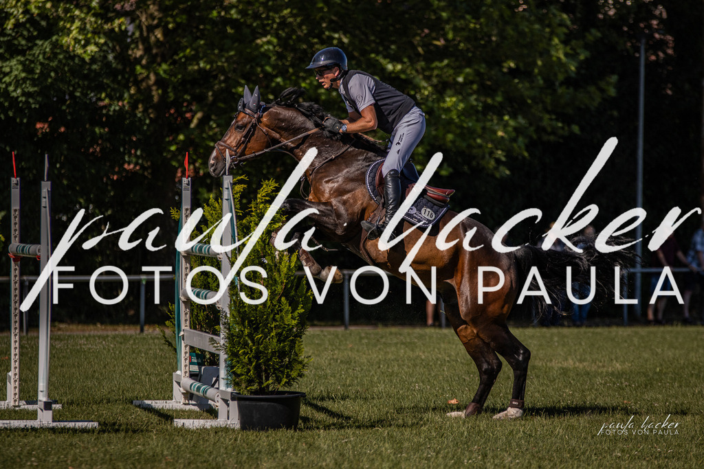 IMG_0716 | Erleben Sie dynamische Sport- und emotionale Tierfotografie in Süddeutschland mit Fotos von Paula. Spezialisiert auf Pferde- und Hundefotografie sowie Sportevents. Kontaktieren Sie mich für einzigartige und ausdrucksstarke Bilder Ihrer besonderen Momente. - Realisiert mit Pictrs.com