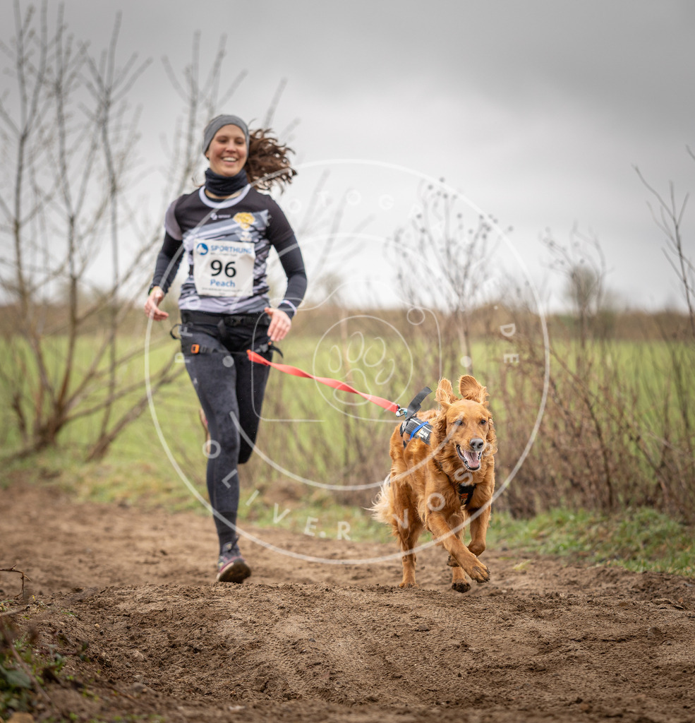 DV3A0112 | Hundefotografie, Tierfotograf, Pfotenfotografie, Fotoshooting Hund, Hunde Portrait, Hundesport, Hundeportraits, Heideshooting, Hunde, Sportfotograf, Hundefotograf, Turnierhundsport, THS,  - Realisiert mit Pictrs.com