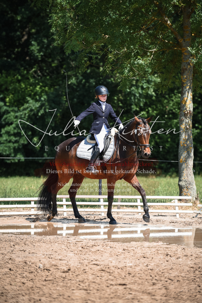 DSC_3316 | Pferde- und Turnierfotografie in Westsachsen. Pferdeportraits, Auftragszeichnungen und intuitive Kunst.