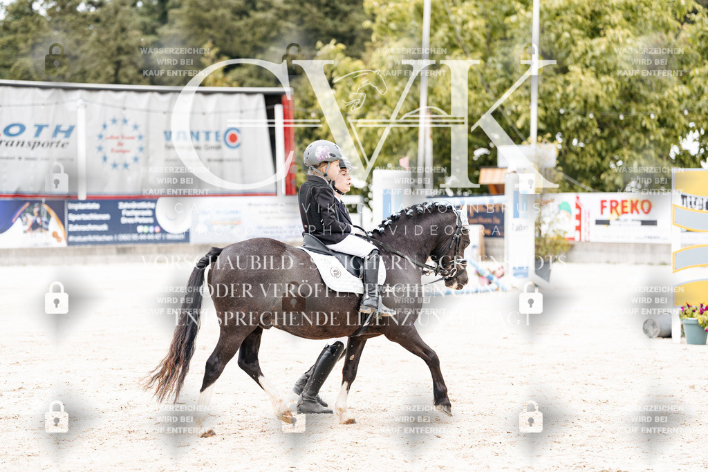 CK907282 | Turnierfotografie Pferdefotografie Trier Rheinland-Pfalz Pferdesport Reitsport Tierfotografie Sportfotografie Pferdevideo Pferdevideografie Equestrianvideography equestrianphotography  - Realisiert mit Pictrs.com