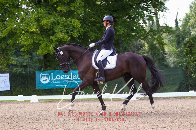 DKP40566 | Turniersportfotografie; Pferdefotografie; Dressurfotografie