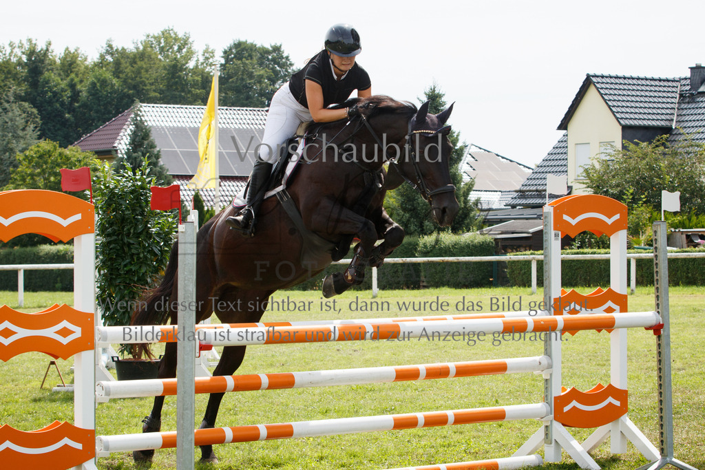 IMG_3228 | P. Berger Fotografie - Realisiert mit Pictrs.com