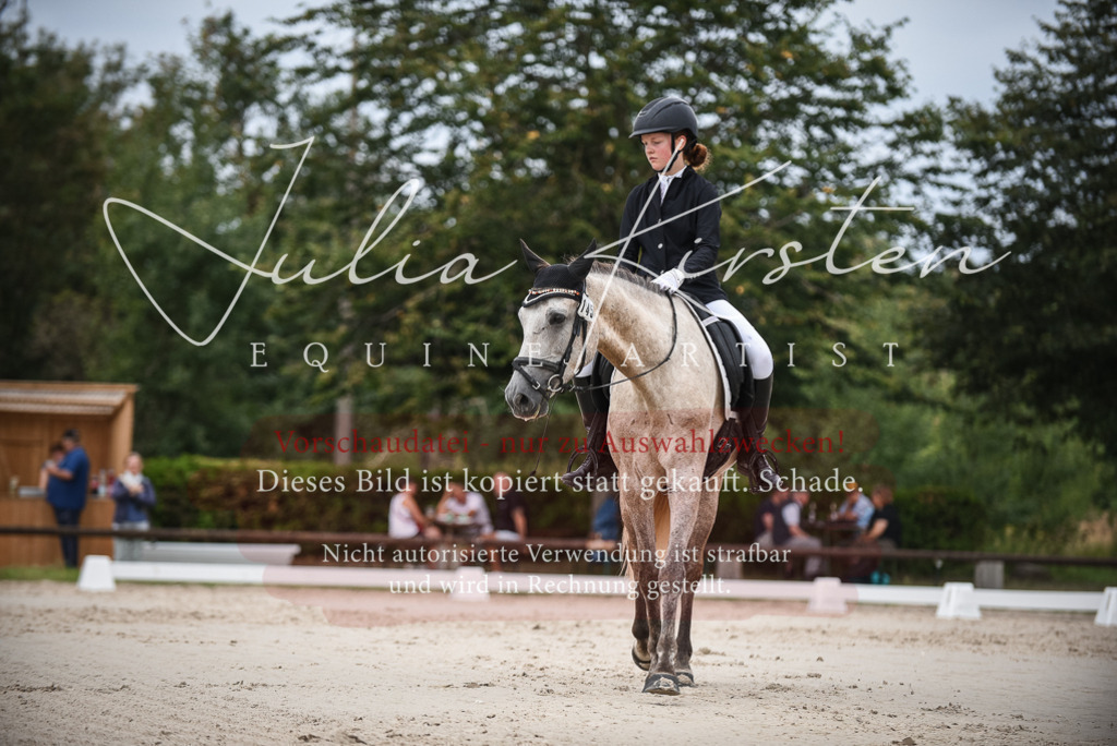 DSC_8237 | Pferde- und Turnierfotografie in Westsachsen. Pferdeportraits, Auftragszeichnungen und intuitive Kunst.