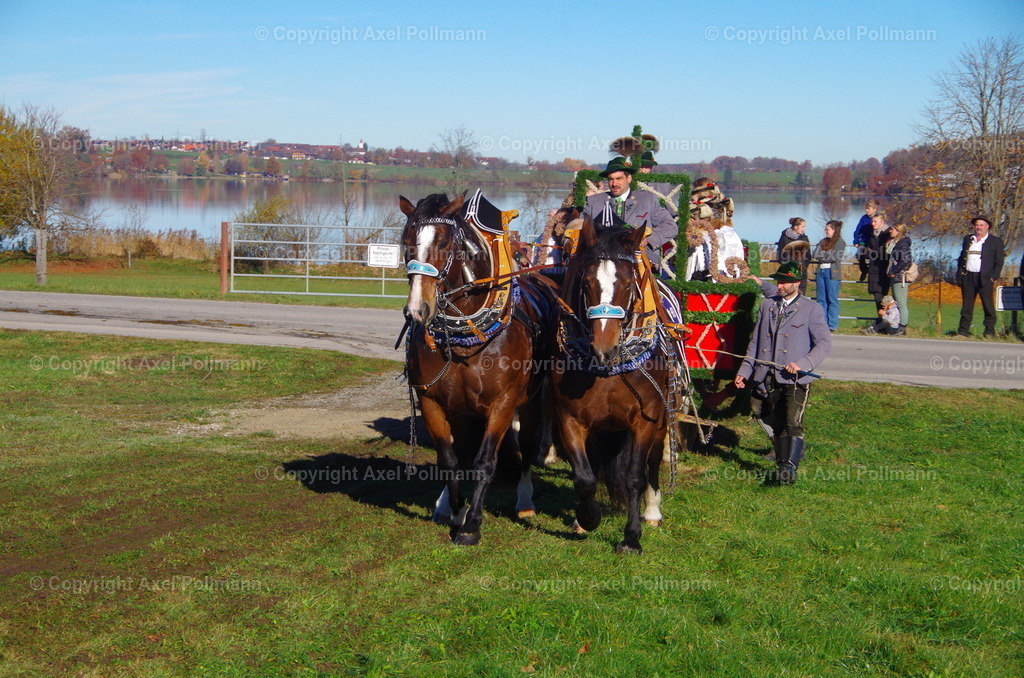 IMGP7569 | fotografiert von Axel PollmannLeonhardi Wallfahrt Benediktbeuern und Murnau, Fronleichnam, Fasching, Landschaft im Loisachtal und Benediktbeuern  - Realisiert mit Pictrs.com