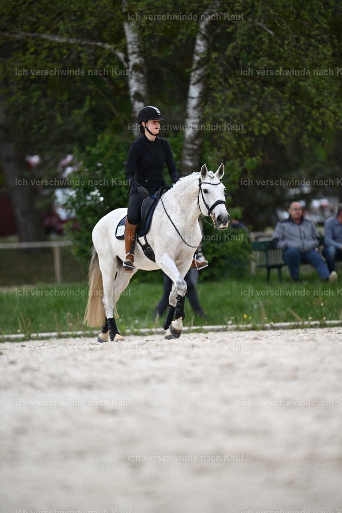 PI26_ST_Sara_Landvogt226_4042.JPG | working equitationturnier fotograf videograf stoibphotography marixx film working equitation deutschland reitsport turnierfotografie eventfotografie equestrian events