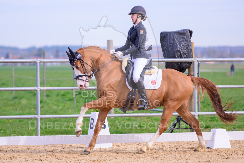 09042026-Mammendorf-Prfg01-0312 | Fokus Hufschlag Fotografie - Realisiert mit Pictrs.com