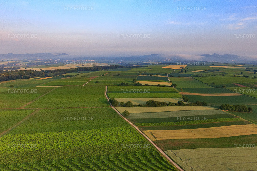 Luftbild: Horbachniederung am Morgen im Ortsteil Ingenheim in Billigheim-Ingenheim im Bundesland Rheinland-Pfalz in Deutschland. Foto: IMG_107795.jpg vom 10.06.2018 durch Werner Riehm/FLY-FOTO.de