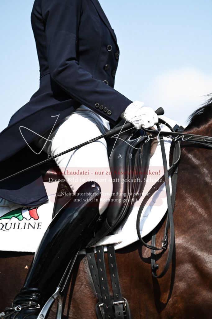 DSC_3157 | Pferde- und Turnierfotografie in Westsachsen. Pferdeportraits, Auftragszeichnungen und intuitive Kunst.